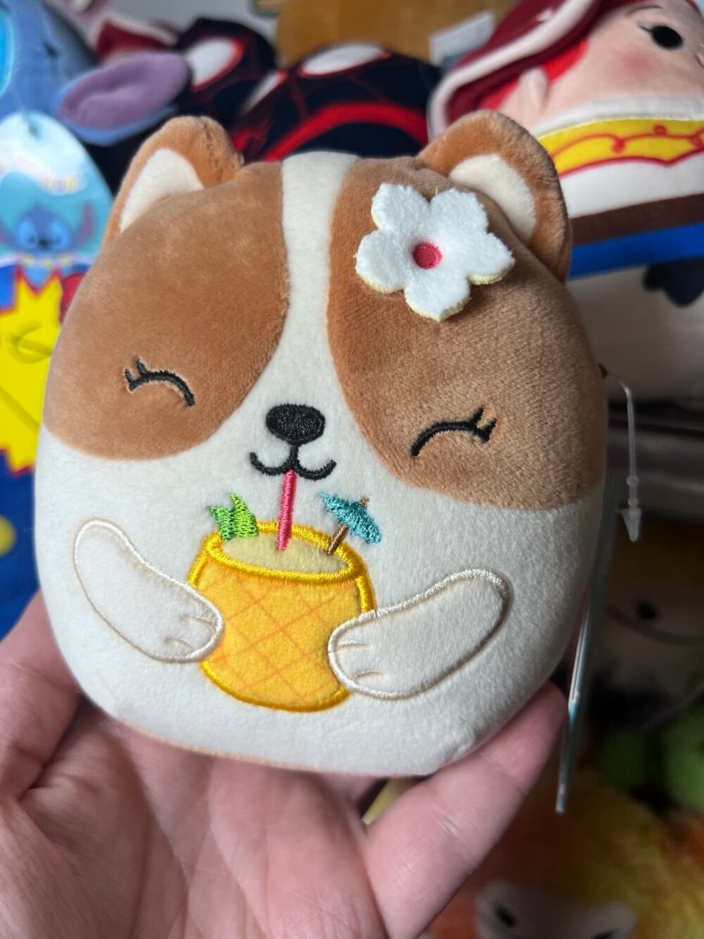 Squishmallows 5 Inch Regina the Corgi Dog with Pineapple Drink NWT